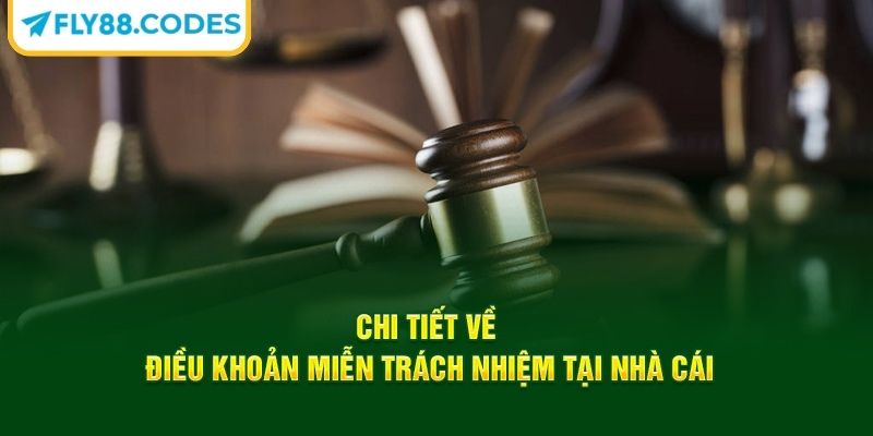 Miễn Trừ Trách Nhiệm 2 Các điểm chính trong quy định miễn trừ trách nhiệm FLY88